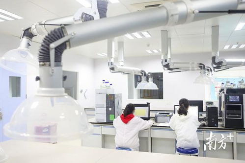 深圳首季高新技術(shù)企業(yè)培育資助突破20.5億元，通訊工程技術(shù)研發(fā)與服務(wù)成重點(diǎn)扶持方向